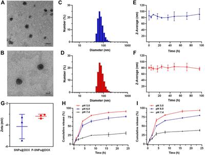 PSMA-Targeted Supramolecular Nanoparticles Prepared From Cucurbit[8]uril-Based Ternary Host–Guest Recognition for Prostate Cancer Therapy